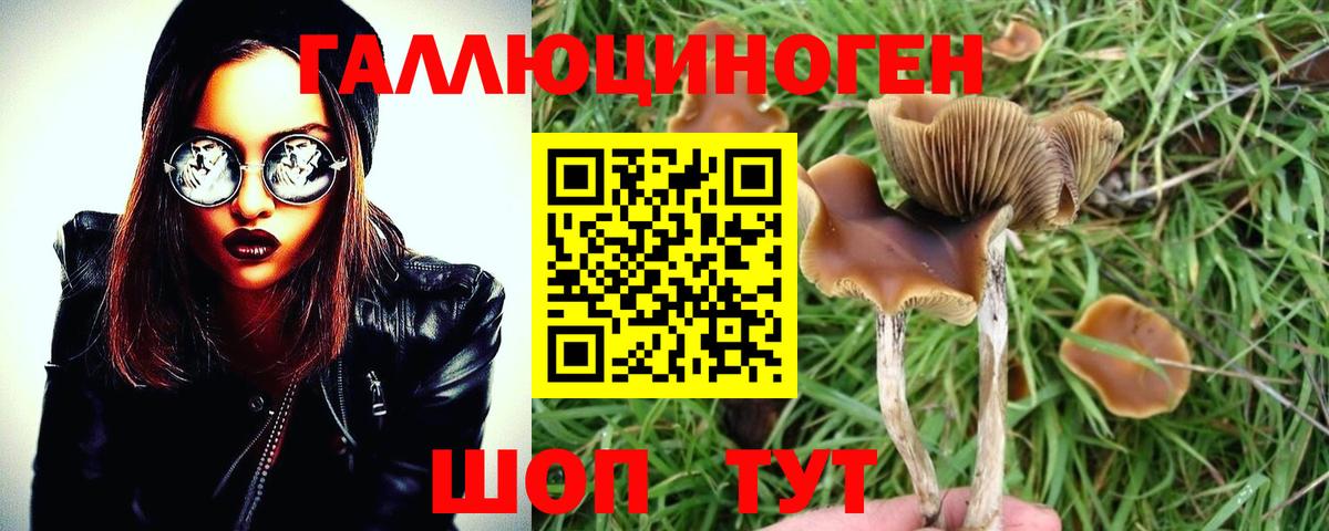 Галлюциногенные грибы мухоморы Пушкино