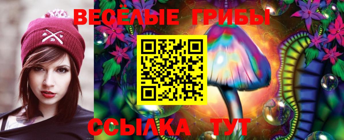 Псилоцибиновые грибы Psilocybine cubensis  Галлюциногенные грибы прущие грибы  хочу   Вход с VPN  Пушкино 