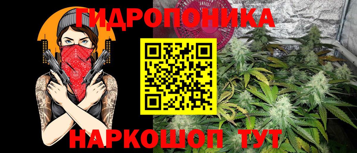 Бошки Шишки ГИДРОПОН Пушкино